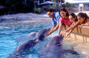 Sea World